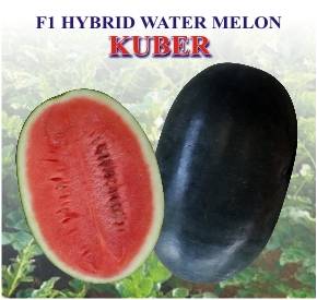 Hybrid Water Melon ( Kuber)